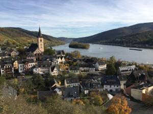 an aerial view of a town with a river and a church at Ferienwohnung Fine in Lorch am Rhein