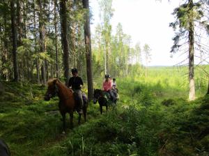 a group of people riding horses in the woods at Rantakorpi Farm in Niemisjärvi