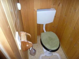 een badkamer met een wit toilet en een houten muur bij Almhütte Egger Obheimat in Außervillgraten