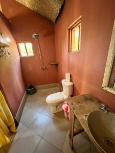 a bathroom with a toilet and a sink at Nemasu Eco-lodge in Gunjur +101 photos