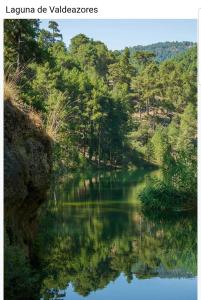 a river in the middle of a forest at Refugio Ruta Río Borosa in Coto Ríos