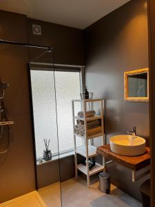 a bathroom with a sink and a glass shower at Bonte Specht in Otterlo +19 photos