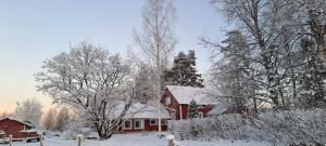 a red house covered in snow with trees at Rantakorpi Farm in Niemisjärvi