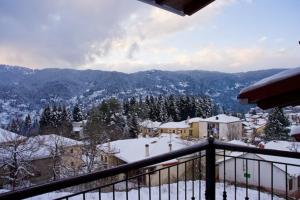 Fotografie z fotogalerie ubytování Chalet Christantoni v destinaci Elati Trikala + 7 fotografií