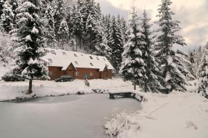 a cabin in the snow with a pond and trees at Chata nad stawem in Wierchomla Mała