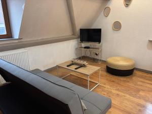 a living room with a couch and a tv at Le Nid Alsacien - Centre Ville - Proche Parking Gratuit - Europa-park in Erstein