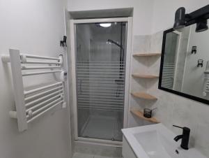 a bathroom with a shower and a sink and a mirror at Logement charmant à la montagne in Eaux-Bonnes +11 photos