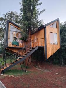a house built around a tree with a staircase at Lux tree house karen in Nairobi