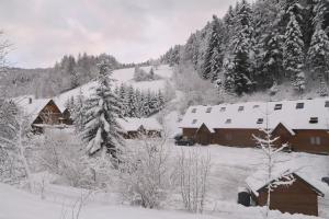 a snow covered village with houses and trees at Chata nad stawem in Wierchomla Mała +63 photos