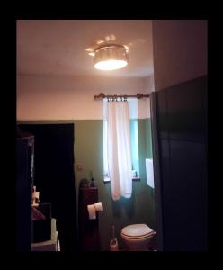 a bathroom with a toilet and a light at b&b da Gianduia in San Piero in Bagno +66 photos
