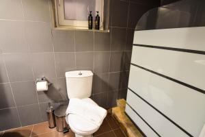 a bathroom with a white toilet and a shower at Casa di Fiamengo in Ano Trikala +42 photos