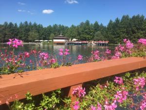 a wooden bench in front of a lake with flowers at Apartment Roman villa in Hévíz