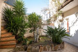 a garden with palm trees and plants next to a building at House Gennauara in Lanusei