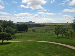 a green field with trees and a dirt road at Merino Guest Farm in Clarens