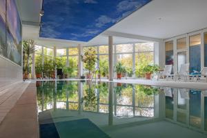 a swimming pool in a house with a blue ceiling at Der Bayerische Hof in Grünbach
