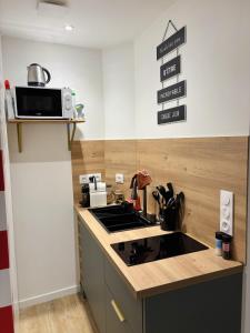 a kitchen with a sink and a microwave at Le cozy Cathedral Reims in Reims