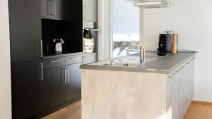 a kitchen with a stainless steel sink and black cabinets at Großzügige Gartenwohnung mit Bergblick in Fritzens
