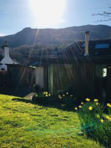 a house with a field of grass and flowers at 4 Balvaig Cottage, Strathyre in Stirling