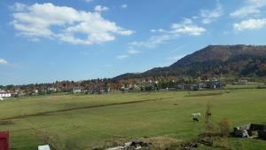 a large green field with horses grazing in it at Villa Bakuriani hotel in Bakuriani