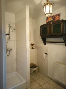 a bathroom with a tub and a toilet and a chandelier at Stern in Bergheim