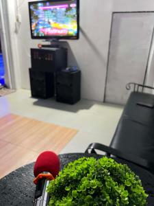 a room with a table with a plant and a tv at Resort safari hot spring in Calamba +11 photos
