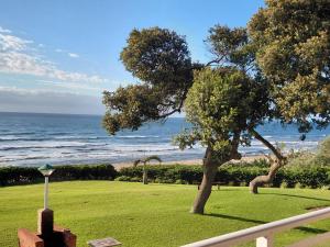 a tree in a field next to the ocean at Anguna Holiday Flats in Margate