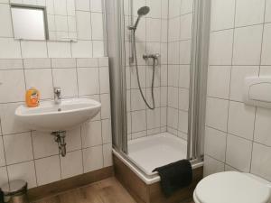 a bathroom with a shower and a sink and a toilet at Herberge 39 in Meißen +22 photos