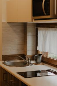 a kitchen counter with a sink and a microwave at Holiday Family Pod Świerkami centrum miasta! in Szklarska Poręba +37 photos