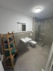 a bathroom with a sink and a shower and a toilet at Wohnung bei den Drei Gleichen #S in Wandersleben