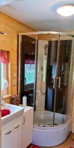 a bathroom with a shower and a sink at Chaloupky U Matušků in Varnsdorf