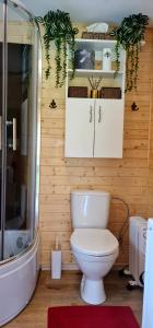 a bathroom with a white toilet and a shower at Chaloupky U Matušků in Varnsdorf