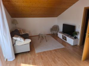 a living room with a couch and a tv at Schwarzwald Apartments III in Lenzkirch