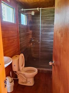 a bathroom with a toilet and a glass shower at Cabañas finca las acacias in Guatavita