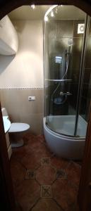 ein Badezimmer mit Dusche, Badewanne und Toilette in der Unterkunft Schlockenbeck in Milzkalne + 7 Fotos