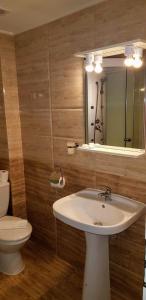a bathroom with a sink and a toilet and a mirror at Pensiunea Casiana in Ciulpăz +60 photos