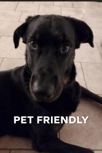 a black dog sitting on the floor with the words pet friendly at Relais de Bèze in Bèze