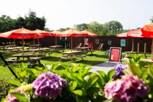 a group of picnic tables with umbrellas and purple flowers at Tollemache Arms in Calveley