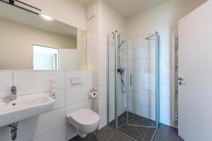 a bathroom with a shower and a toilet and a sink at Ferienwohnung Seeloge im Bollwark Olpenitz in Olpenitz