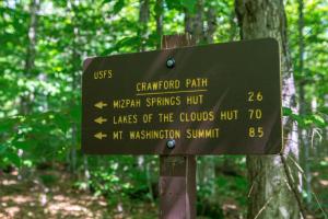 a green sign in the middle of a forest at Highland Center in Bretton Woods