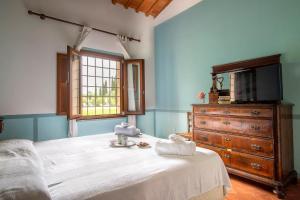 a bedroom with a bed and a tv and a dresser at Agriturismo Gli Archi in Fauglia +58 photos