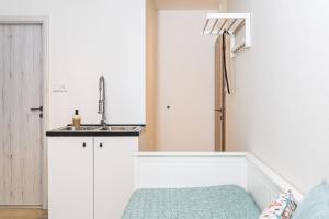 a small kitchen with a sink and a sink at V&D 7 by Mountain ways in Rokytnice nad Jizerou +11 photos