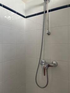 a shower with a shower head in a bathroom at Gîte Roses in Saint-André-de-Roquepertuis +13 photos