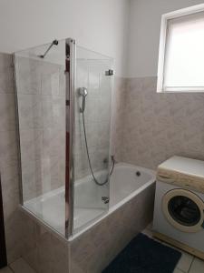 a shower stall in a bathroom with a washing machine at Panoráma apartman in Pécs