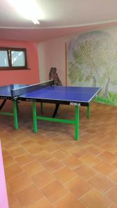 a ping pong table in the middle of a room at Villa Cares - Pension mit Tischtennis in Cares