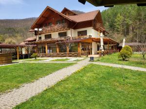 a large wooden house with a lawn in front of it at Pensiunea Casiana in Ciulpăz