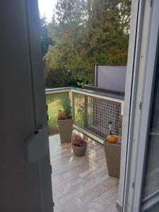 an open door to a balcony with potted plants at Elizabeth Apartman 2 in Hévíz