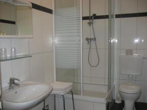 a bathroom with a shower and a sink and a toilet at Pension Schottentor in Vienna
