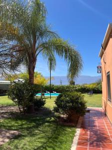 a palm tree in the yard of a house at Cepas del Valle - cabañas y suites in Chilecito +4 photos