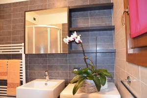 Un baño con un lavabo y una flor en un jarrón. en Le Sorgenti, en Bormio