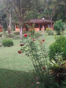 a bush with red flowers in front of a house at Chalé Bosque Encantado Maringá MG in Itatiaia